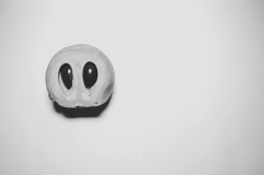 Photo © Sosa McDonald, The Stunned Fruit, 2016