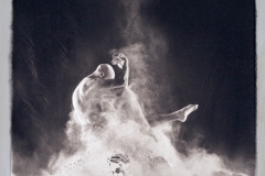 "Phoenix Rising"