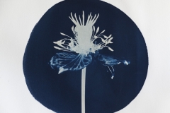 "Flower Drop"