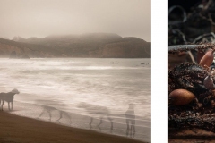 Photos © Liz Caroli