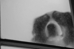 Photo © Vanessa Bauch