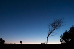 Photo © Shira Bezalel