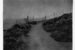 "Marin Headlands Trail 01," 2016. Bromoil