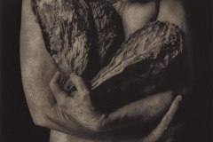 "Age & Seduction: Remnants 202," 2015. Photopolymer Gravure with water based inks on BFK paper