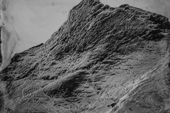 "Landscape VI," 2019. Wet Plate Collodion glass plate from a scanning electron microscope