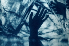 "Time Traveler," 2019. Cyanotype on Arches Platine