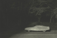 "Solus," 2019. Platinum Palladium