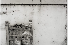 Photo © Laura Alice Watt