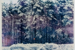 "as far as she goes", 2020. Multi-layer Gum Bichromate on traditional rabbit-skin glue gesso hydrotech panel.