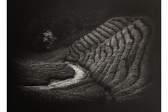 "Tea Fields" Wazuka, Japan, 2020. Platinum Palladium on Arches Platine.