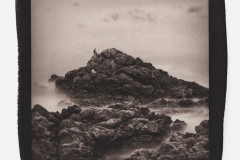 "More Rocks and Birds", 2018. Palladium on Bergger COT320.