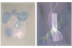 "Nov. 24, 2020 (7,712 COVID Deaths Reported Worldwide Since Previous Day), Nov. 28, 2020 (14,036 COVID Deaths Reported Worldwide Since Previous Day)", 2020. Toned Lumen prints.