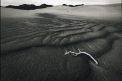 "Stranded in Death Valley", 2020. Platinum Palladium on Hahnemühle Platinum Rag.