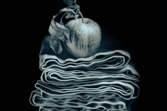 "Family Dinners", 2020. Cyanotype over Platinum Palladium.