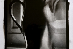 "Homage Josef Sudek", 2020. Platinum Palladium. Printed by Doug Kaye.