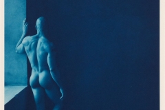 "Blue Nude #1", 2019. Ware Cyanotype on Arches Platine.