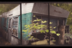 "Great Lakes", 2020. Hand-painted watercolor over van Dyke.
