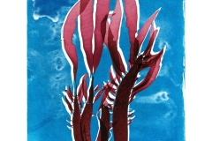 Prionitis and its Cyanotype  © Josie Iselin