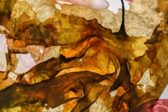Abstract Brown © Josie Iselin