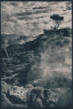 "Rotorua", 2021. Cyanotype, toned with yerba matte tea. "Rotorua", 2021. Cyanotype, toned with yerba matte tea.
