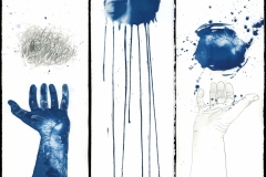 "Optic Nerves", 2021. Cyanotype and graphite.