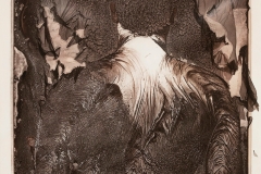 "To Which We Return–Untitled No. 31", 2021. Mordancage Print from mordancage negative.