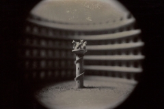 "Cat-opticon", 2022. Silver-plated (chromaskedasic) gelatin silver contact print from 4x5 negative.