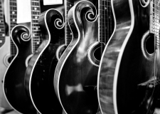 Photo © Bob Dell