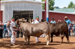 Honorable Mention – Summer © Suz Lipman Honorable Mention – Summer © Suz Lipman