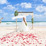 Honorable Mention – Summer © Katie Tasch Honorable Mention – Summer © Katie Tasch