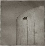 27 Birds. © Rory Earnshaw. 2019 27 Birds. © Rory Earnshaw. 2019