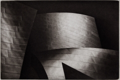 Disney Hall. © Rory Earnshaw. 2016