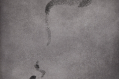 Murmuration. © Rory Earnshaw. 2020