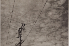 Telephone Pole. © Rory Earnshaw. 2018