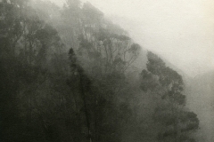 Diagonal, Trees. © Unai San Martin. 2005