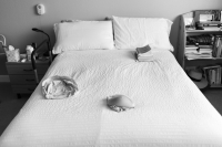 © Lisa Newmark