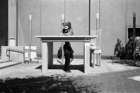 Judy-Steiner-Untitled-1