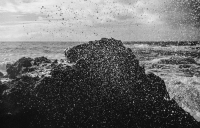 Paul-Hendrik-Stars-Born-from-Salt