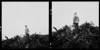 Robb-McDonough-Vineyard-Burn-Pile