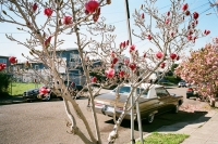 Shane-Colleen-Hallinan-Blake-Street-Berkeley