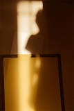Suzana-Brown-Shadow-Portraits-WIsh