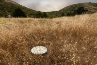 Greta Carlstrom - Clock Headlands