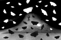 Andrii Bulavka, Circle with many centers, 2025