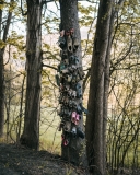 Kelly Burgess, Untitled, 2021