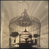 Rachel Murray-Meyer, Sweet Cage Within Refraction, 2022