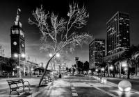 Steven Johnides, Ferry Building Plaza, 2014