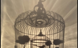 Rachel-Murray-Meyer-Sweet-Cage-Within-Refraction-2022