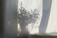 maria-ionova-rHVLapr8nZY-unsplash