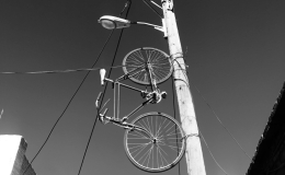 sepideh-massahi-Y_Vy1URIv5M-unsplash