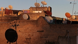 Alan-Segal-Fez--2018